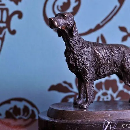 Hotel Townhouse Boutique Zurigo