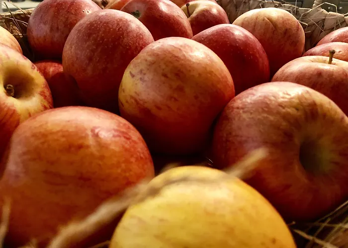 Townhouse Boutique Hotell Zürich