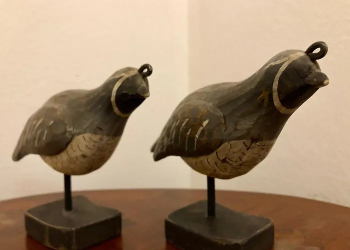 Townhouse Boutique מלון