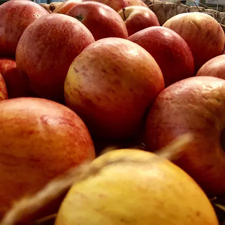 Townhouse Boutique Hotel Zurich